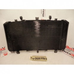Radiatore Acqua Water Radiator Kuhlerlufter Kawasaki Z 750 03 06