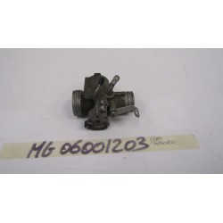 Corpo farfallato Throttle...