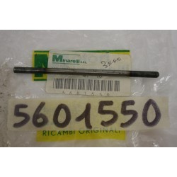 Asta spingidisco frizione...