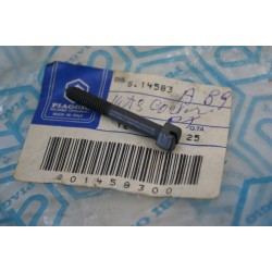 Vite carburatore filtro...