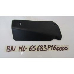 Copertura sx radiatore...