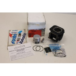 Cilindro completo POLINI...