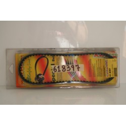 Cinghia trasmissione...