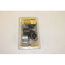 Rulli variatore Ø25x22,2...