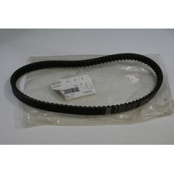 Cinghia trasmissione...