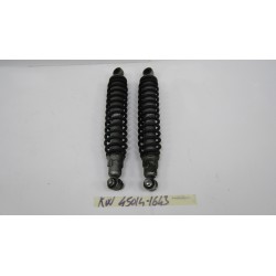Coppia ammortizzatori Shock...