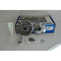 Variatore POLINI Variator...