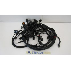 Impianto elettrico Wiring...