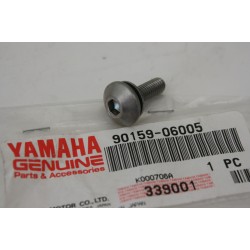 Vite staffa anteriore...