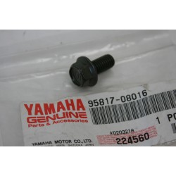 Vite Bullone carter motore...