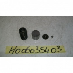 Arredo montaggio valvole furniture fitting valves Honda Hornet 900 02 06
