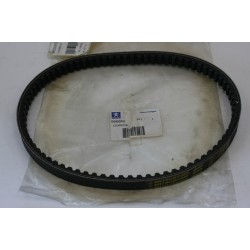 Cinghia trasmissione Drive...