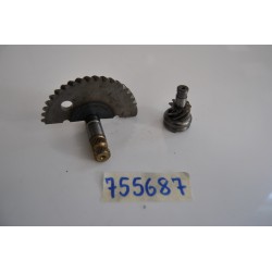 Albero ingranaggio+pignone...