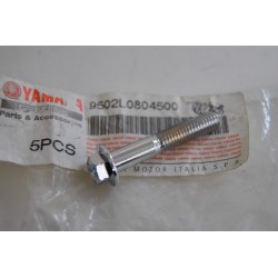 Vite perno marmitta Muffler...