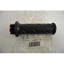 Manopola acceleratore gas...