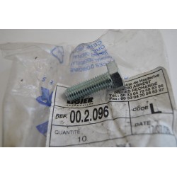 Vite Perno variatore...