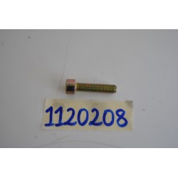 Vite boccola supporto...