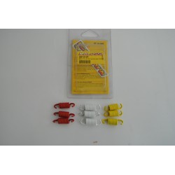 Serie molle frizione RACING...