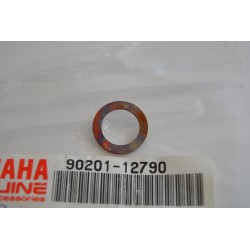 Rondella termosensore...