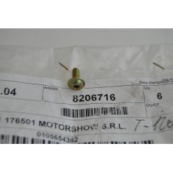 Vite volano magnete...