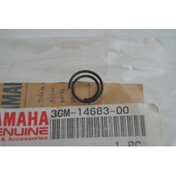 Molla gancio puleggia...