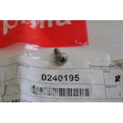 Vite volano magnete...