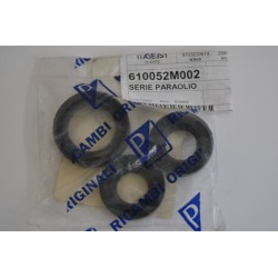 Serie paraoli motore Engine...