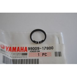 Seeger contralbero...