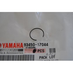 Fermo spinotto pistone...