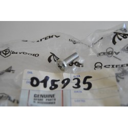 Vite volano magnete...