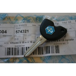 Chiave grezza vergine Blank...