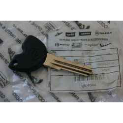 Chiave grezza vergine Blank...