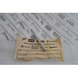 Ribattino bauletto...