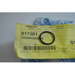 Guarnizione o-ring...