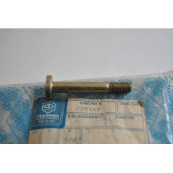 Vite Perno carter Cover...