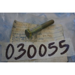 Vite parafango anteriore...