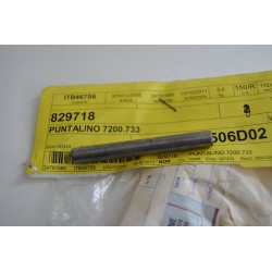 Puntalino pompa carburante...