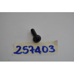 Vite serbatoio carburante...