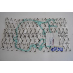 Guarnizione carter motore...