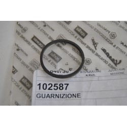 Guarnizione finestrina spia...