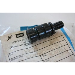 Vite cavalletto laterale...