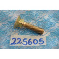 Vite Bullone slitta motore...