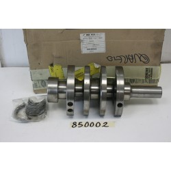 Albero motore Crankshaft...