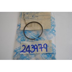 Anello elastico Fascia...