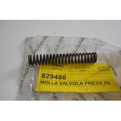 Molla valvola pressione...