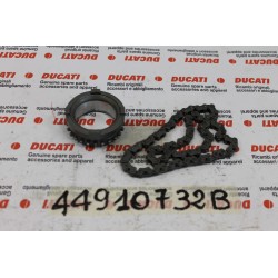 Pignone e catena pomap olio...