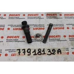 Meccanismo scatto marce...