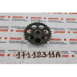 Ingranaggio distribuzione...