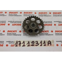 Ingranaggio distribuzione...