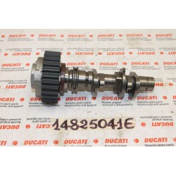 Albero distribuzione...